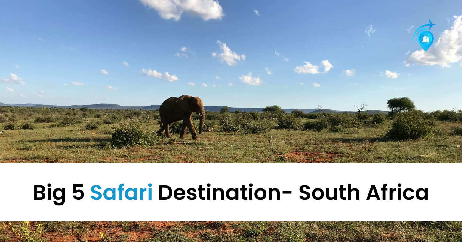 5 Big Safari Destination - Gems Of South Africa — Uncategorised